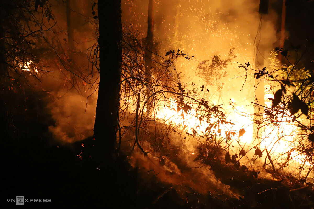 Tin cập nhật: Hơn 1.000 người chữa cháy rừng trong đêm